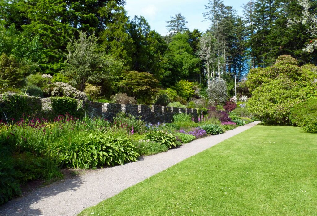 A garden landscape